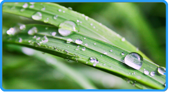 Water Drop in Woodbridge and Manassas VA
